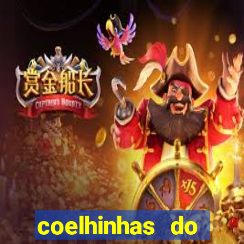 coelhinhas do brasil site